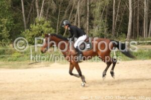Club_1_5ans_CSO_17h44_extra_150.jpg