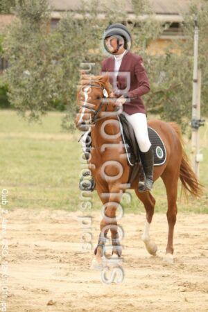 Club_2_4ans_CSO_12h37_011.jpg