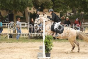 Club_2_4ans_CSO_13h01_100.jpg