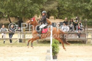Club_2_4ans_CSO_13h55_342.jpg