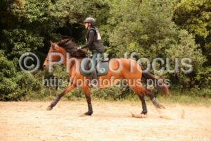 Club_2_4ans_Cross_14h13_027.jpg