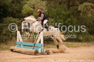 Club_2_4ans_Cross_14h51_extra_014.jpg