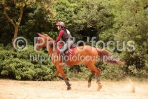 Club_2_4ans_Cross_14h56_extra_021.jpg