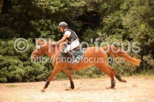 Club_2_4ans_Cross_15h13_052.jpg