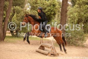 Club_3_Cross_16h39_012.jpg