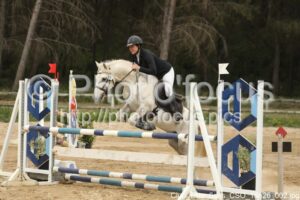 Club_Elite_6ans_CSO_16h26_002.jpg
