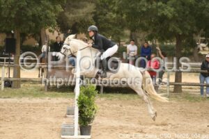 Club_Elite_6ans_CSO_16h26_004.jpg