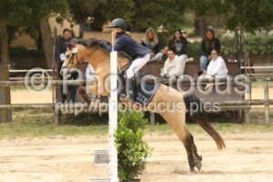 Poney_1_CSO_12h23_005.jpg