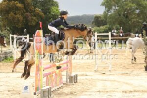 Poney_1_CSO_12h23_007.jpg