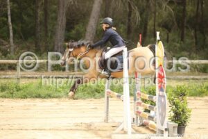 Poney_1_CSO_12h24_009.jpg