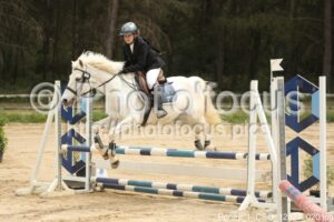 Poney_1_CSO_12h27_020.jpg