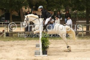 Poney_1_CSO_12h27_021.jpg