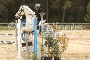 Poney_1_CSO_12h28_022.jpg