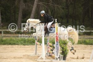 Poney_1_CSO_12h28_026.jpg