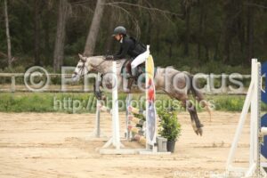 Poney_1_CSO_12h30_033.jpg
