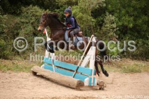 Poney_1_Cross_13h34_003.jpg