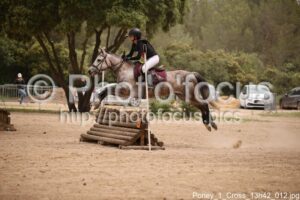 Poney_1_Cross_13h42_012.jpg
