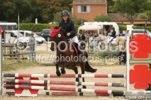 Poney_2_CSO_13h58_001.jpg