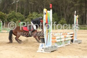 Poney_2_CSO_13h58_003.jpg