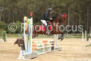 Poney_2_CSO_13h59_005.jpg