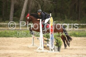 Poney_2_CSO_13h59_006.jpg
