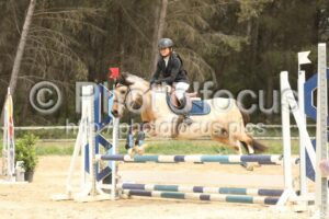 Poney_2_CSO_14h00_011.jpg