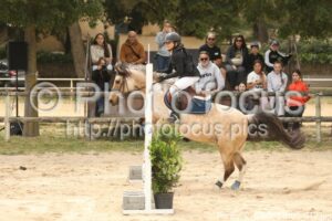 Poney_2_CSO_14h00_012.jpg