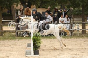 Poney_2_CSO_14h05_029.jpg