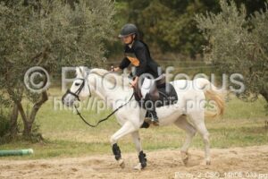 Poney_2_CSO_14h06_033.jpg