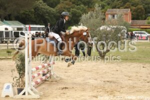 Poney_2_CSO_14h08_035.jpg