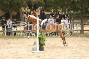 Poney_2_CSO_14h08_037.jpg