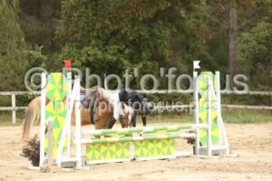 Poney_2_CSO_14h09_045.jpg