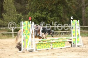 Poney_2_CSO_14h09_046.jpg