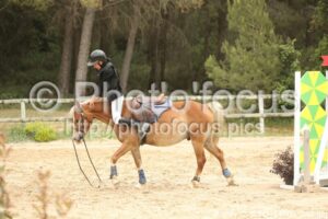 Poney_2_CSO_14h09_048.jpg