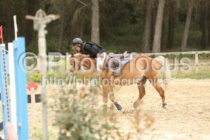 Poney_2_CSO_14h09_049.jpg