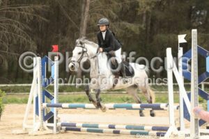 Poney_2_CSO_14h10_054.jpg
