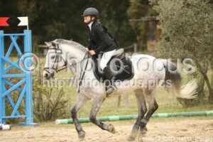 Poney_2_CSO_14h11_059.jpg