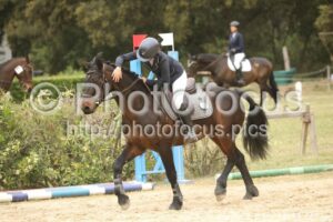 Poney_2_CSO_14h13_067.jpg