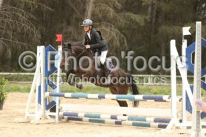 Poney_2_CSO_14h14_071.jpg