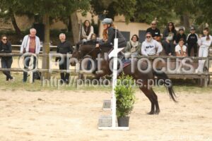 Poney_2_CSO_14h14_072.jpg