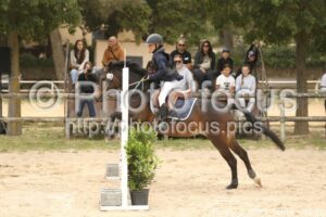 Poney_2_CSO_14h16_082.jpg