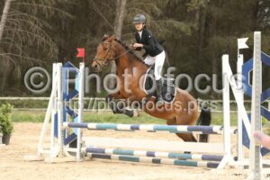 Poney_2_CSO_14h18_088.jpg