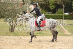 Poney_2_CSO_14h20_101.jpg