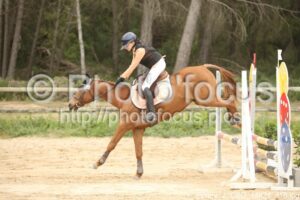 Poney_2_CSO_14h24_118.jpg