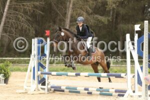 Poney_2_CSO_14h25_121.jpg