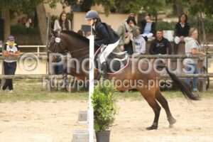 Poney_2_CSO_14h25_122.jpg