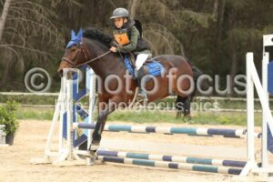 Poney_2_CSO_14h29_139.jpg