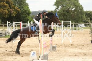 Poney_2_CSO_14h29_141.jpg