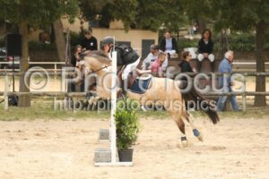 Poney_2_CSO_14h31_147.jpg