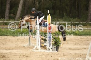 Poney_2_CSO_14h32_151.jpg